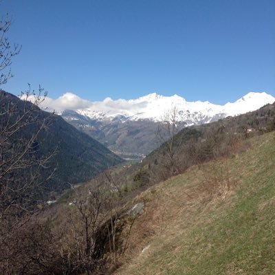 Profile Picture of Sean Benson (@sb7440tweet) on Twitter