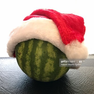 Profile Picture of Nicholas Batchelder (@Niiiiicbat) on Twitter