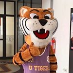 Profile Picture of U-Tigers (@u.tigers) on Instagram