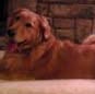 Profile Picture of Kirby Pugh (@kirby.pugh.7) on Facebook