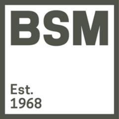 Profile Picture of Brady Shipman Martin (@BSMConsult) on Twitter