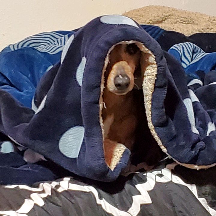 Profile Picture of Jeffery Berry (@jefferyberry43) on Tiktok