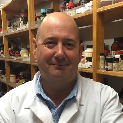 Profile Picture of Michael Hay (@MichaelPHay1) on Twitter