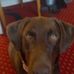 Profile Picture of Keith Roy Hollis (@keith.r.hollis) on Facebook