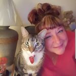 🌻Debbie Godfrey-Edwards 🌻 - Instagram Profile Picture of 🌻Debbie Godfrey-Edwards 🌻 (@johnniesgyrl4ever) on Instagram