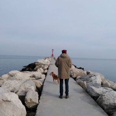 Profile Picture of Andrea Gasparini (@agasparini88) on Twitter