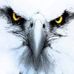 Profile Picture of Al Joe (@al.joe.7587) on Facebook
