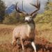 Profile Picture of Gavin O`Neil (@gavinjoneil2249) on Pinterest