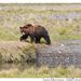 Profile Picture of james morrissey (@Nwpphotoforum) on Pinterest