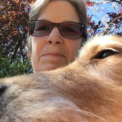 Profile Picture of Sharon Nadeau (@snoopsf2) on Twitter