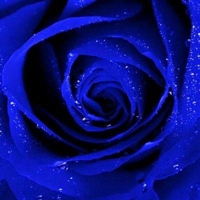 Profile Picture of Brian Goodhue, Jr. (@Brian__Goodhue) on Twitter