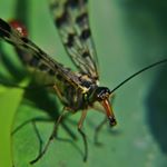 Profile Picture of Ansley Newton (@ansleynewtonnqpuh) on Instagram