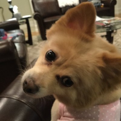 Profile Picture of Joel Tillman (@2amend4mewalthe) on Twitter