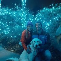 Profile Picture of Joey Hecht (@hecht47) on Pinterest