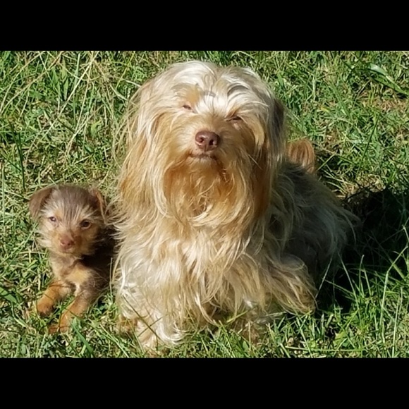 Profile Picture of Loral Bates (@lnbates) on Poshmark