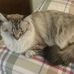 Profile Picture of Catherine Buffington (Cathy Girsch Buffington) (@catherine.buffington.54) on Facebook