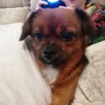 Profile Picture of Harrison Hackney (@harrison.hackney.1) on Facebook