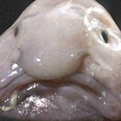 Profile Picture of TamTam (@tamaramreinhardt) on Tiktok