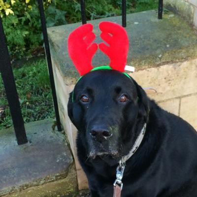 Profile Picture of Joanna Kirby (@kirby_joanna) on Twitter