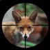 Profile Picture of Background Check Bill (@BillBackground) on Twitter