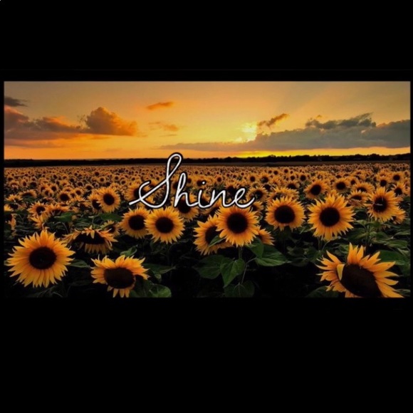 Profile Picture of Bibi Rodriguez (@bibirr) on Poshmark