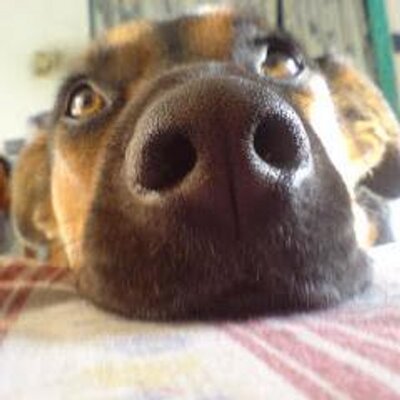 Profile Picture of Ofelia Márquez (@OfeMqz) on Twitter