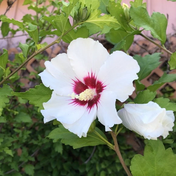 Sandy Shwab - Poshmark Profile Picture of Sandy Shwab (@sandyshwab) on Poshmark