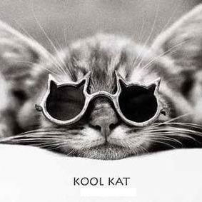 Profile Picture of Adam Rubin (@adam_africa) on Myspace