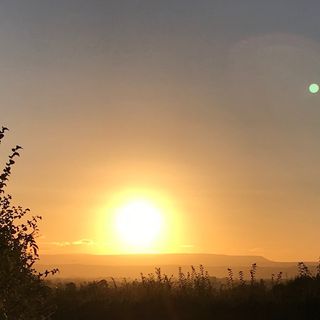 Profile Picture of Damian Gardner (@damianjgardner) on Instagram