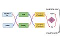 Profile Picture of Stearoyl-CoA 9-desaturaseon Wikipedia
