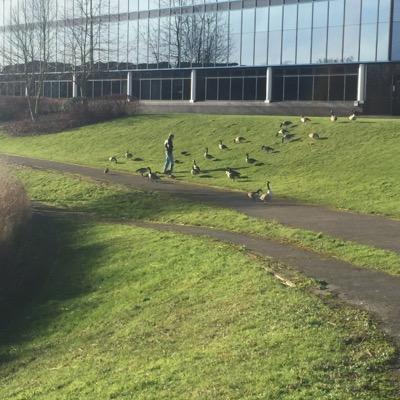 Profile Picture of Dave (@SteveSloughHall) on Twitter