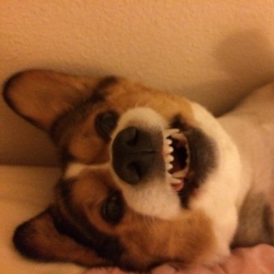 Profile Picture of Thomas Jonathan Wong (@@ghengustom912) on Twitter