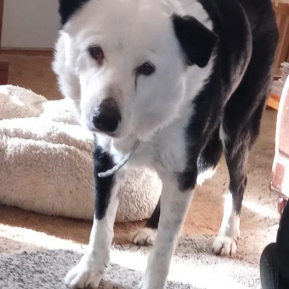 Profile Picture of Sheila Berndt (@sheila_berndt) on Poshmark