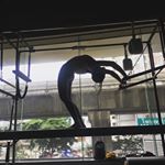 Profile Picture of stacey.wilcox.4455 (@stacey.wilcox.4455) on Instagram