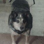 Profile Picture of Raymond Scott Ooley (@raymondooley) on Instagram