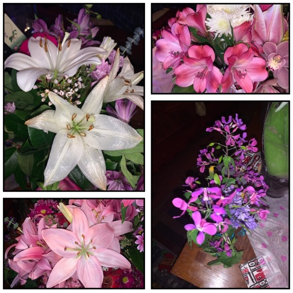 Profile Picture of Terri Reles (@teenye) on Poshmark