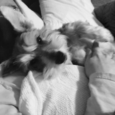 Profile Picture of Lisa Clague (@ClagueLisa) on Twitter