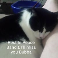 Profile Picture of Jacob Noyes (@jacobn6584) on Pinterest