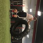 Profile Picture of Benjamin Snook (@benjaminjohnfitness) on Instagram