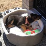 Profile Picture of Kyle Pointon (@kyle__tessa) on Instagram