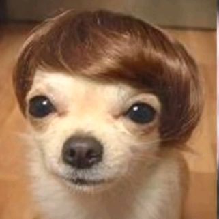 user3910090550930 - Tiktok Profile Picture of user3910090550930 (@armandof.f) on Tiktok