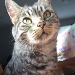 Profile Picture of Kevin Rioux (@krioux10) on Instagram