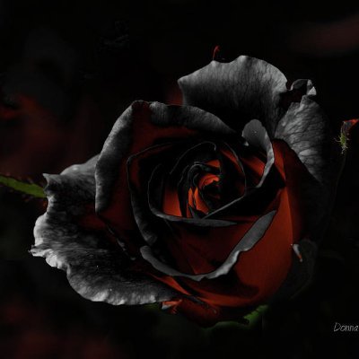Profile Picture of David Larocque (@billiards888) on Twitter
