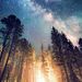 Profile Picture of Aimeerose Hasson (@Aimeerosehass19) on Pinterest