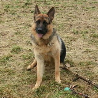 Profile Picture of Daniela Klingmann (@daniela.klingmann) on Facebook