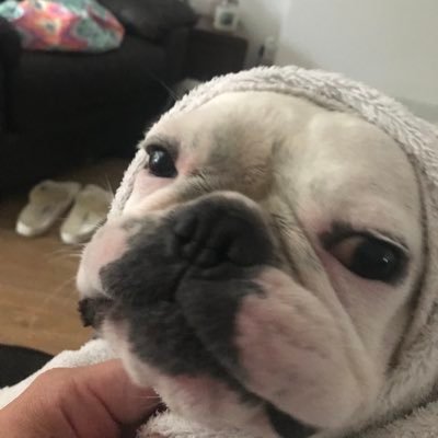 Profile Picture of ☮mippy☯ (@anniemickymoo) on Twitter