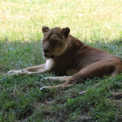 Profile Picture of Debra Hamm (@DebraHamm12) on Twitter