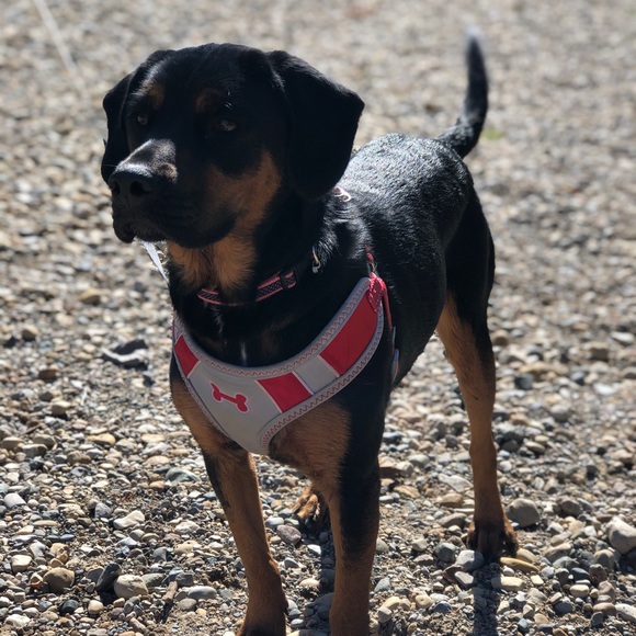 Profile Picture of Daniela Robledo (@marce2019540) on Poshmark