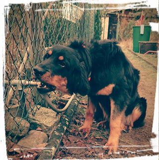 Profile Picture of Berta Kleinarsch (@Berta-Kleinarsch) on Facebook