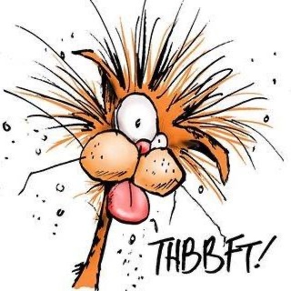 Brenda Pendexter - Poshmark Profile Picture of Brenda Pendexter (@pndxtr4) on Poshmark